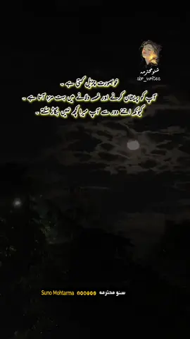 پیاری چڑیل #foryoupageofficial #sbr_writes #شفیق_بن_رفیق #viwesproblem #viral 