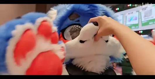 silent 🤫 ( Bilibili: 一乾y9 ) #furry #cute #fyp #fur #fursuit 