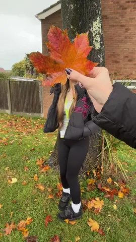 🍂