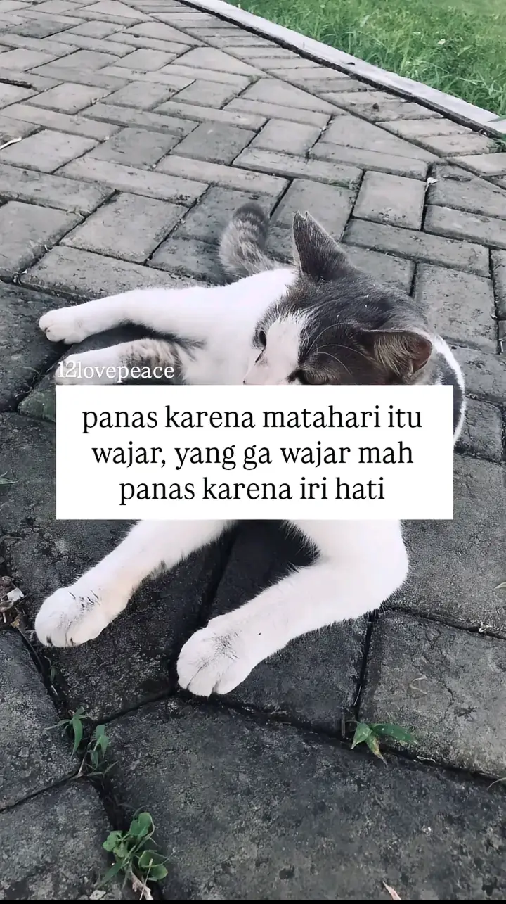 opmem cc asik 😜🔥  #opmemcc #allbaseexcel02 #freefire #elitecees🥵🥶 #fyp 