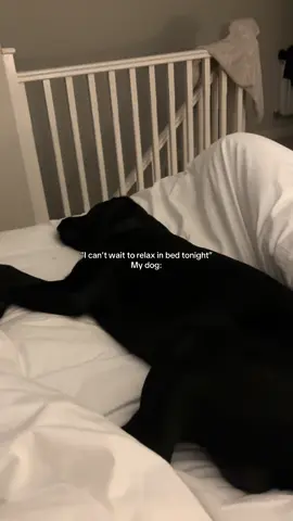 Every single night 😂😭 #dogsoftiktok #blacklab #labrador #raisingapuppyinyour20s #dogparents #dogmum #sleepingdog 
