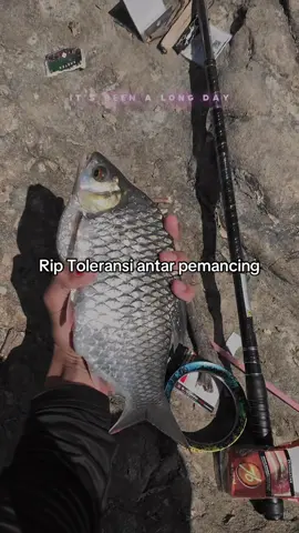 Klenteng, Cadar, Magot, Uler Kandang ada salah apa dengan umpan ini 😬. Kalo emang ikan gamau makan itu mitos atau fakta? Pada akhirnya hanya keegoisan manusia aja. Beda umpan jadi perdebatan beda teknik jadi permusuhan. Lantas bagaimana dengan ilegal fishing kalian malah diam aja. #ilegalfishing #krisismoral #mancingmaniajogja #fyp #danzeyk 