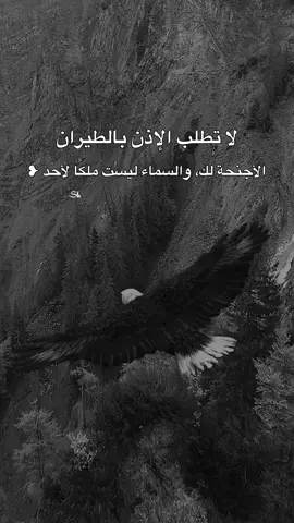 #InspirationByWords #خواطر_للعقول_الراقية #خواطر_من_القلب #fypシ゚ 