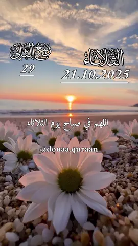دعاء يوم الثلاثاء ♥️🌺🤲 #دعاء #اللهم_امين_يارب_العالمين #ادعية_اسلامية_تريح_القلب #اللهم_لك_الحمد_ولك_الشكر #دعاء_يريح_القلوب 