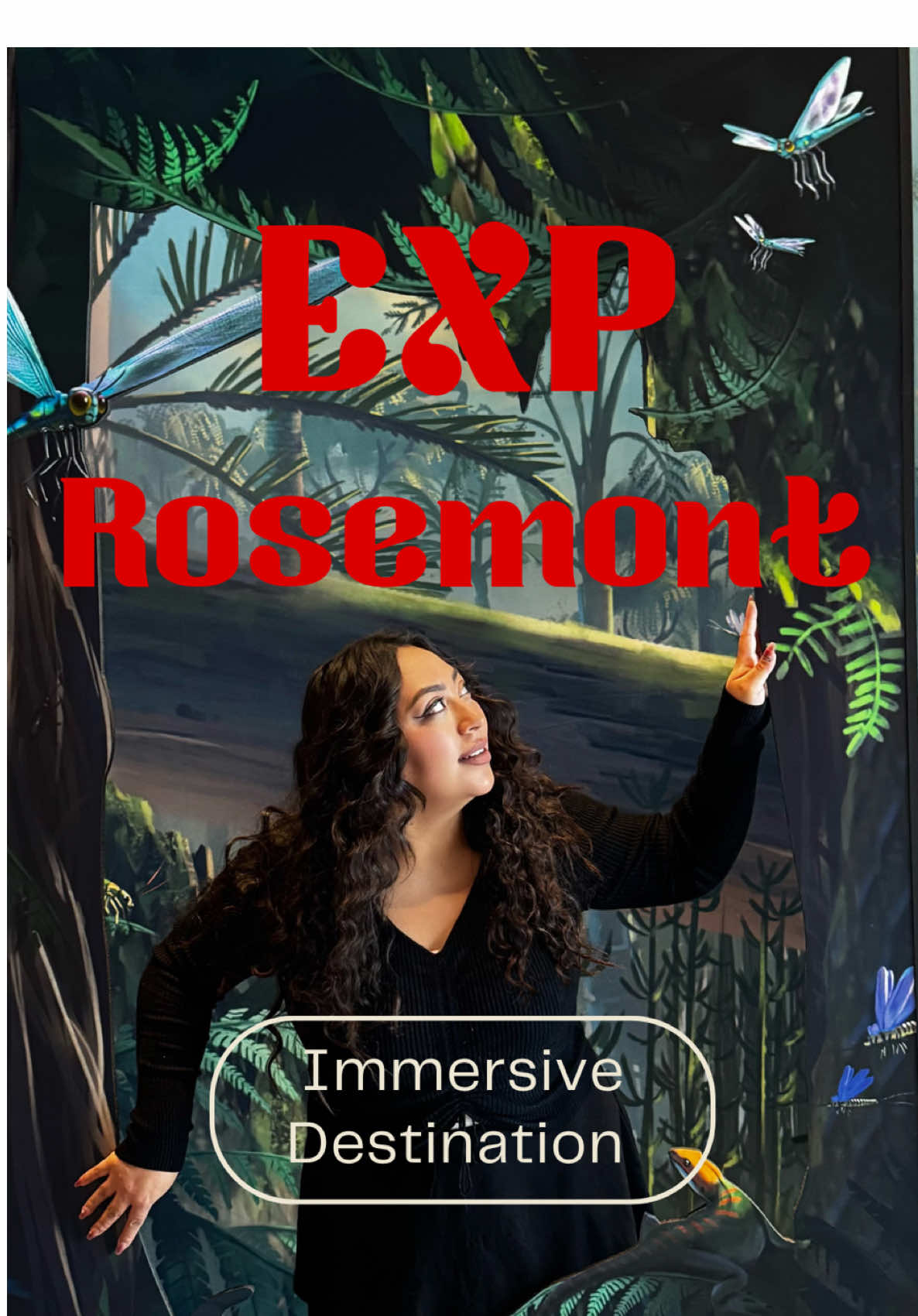 POV: You just traveled 4,500 years back in time without leaving Chicago . Still can’t believe how real this VR Egypt experience felt! 📍EXP Rosemont   #chicago #explorechicago #immerseexperience #virtualreality #thingstodochicago 