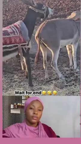 #creatorsearchinsights #oromotiktok #fouryoupage #ethiopian_tik_tok🇪🇹🇪🇹🇪🇹🇪🇹 