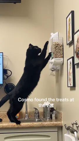 He’s literally being insane I’ve never seen him so crazed