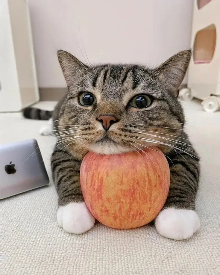 #fyp #animeedit #anime 