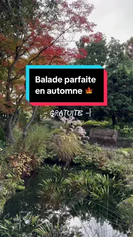 LA BALADE D’AUTOMNE À NE PAS MANQUER 🍁🍂 Les Jardins de l’École du Breuil et l’Arboretum de Paris font partie du Parc Botanique de Paris, et offrent un aperçu unique de la biodiversité végétale en plein cœur du Bois de Vincennes, avec une belle variété de plantes, d’arbres, et de jardins à découvrir. Il s’agit d’une de mes balades nature préférées 💚 Fondée en 1867, l’École du Breuil est une école d’horticulture et d’aménagement paysager qui forme des jardiniers, des paysagistes et des spécialistes des espaces verts pour la ville de Paris. Outre sa fonction éducative, elle est également ouverte au public et offre de superbes jardins composés de différentes zones thématiques : roseraie, jardin anglais, japonais, roseraie, potager… mais aussi des spots pour se poser et pique-niquer ✨ Juste en face se trouve l’Arboretum de Paris : Il fait partie aussi de l’école et est dédié à la collection d’arbres, ce qui en fait un lieu riche pour découvrir diverses espèces d’arbres. Il abrite plus de 500 espèces et variétés d’arbres et arbustes originaires du monde entier, certains très rares ou exotiques. C’est un lieu propice pour se promener et en apprendre plus sur les différents types de bois, les feuilles, et les écorces, avec une grande diversité de feuillus et de conifères🌳 💶Gratuit pour tous 🕦 1h30 à 2h de balade 📍Route de la Pyramide, 75012 #automneparis #baladeautomne #parissecret #quefaireparis #baladeparisienne