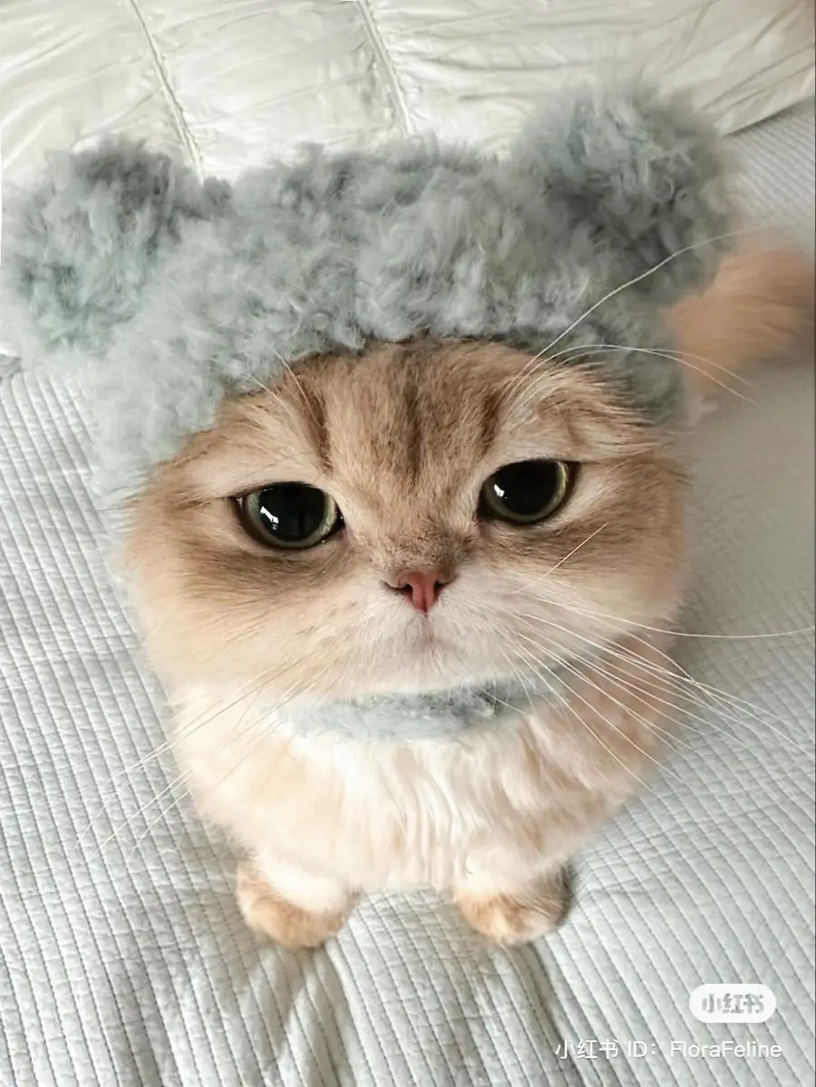 #animeedit #anime #fyp 