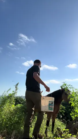 LINDAS TARDES COMO ESTA 🥹