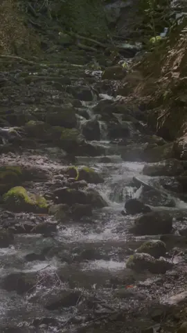 ‘Allah hiçbir zaman kulunu, ebediyen darda bırakmaz. Bir gömlek ne kadar daralırsa, yırtılması o kadar çabuk olur. Gecenin en karanlık anı, sabaha en yakın andır… Fecr olacak, şafak sökecek demektir. Naçar kalacak yerde, nagah açılır perde, şifa olur her derde, Mevla görelim neyler, neylerse güzel eyler…  #gece #sözler #geceyebirsözbırak 