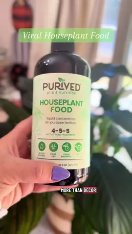 A little nourishment goes a long way — for them, and for me. 💧Find Purived Plant Nutrition in my TikTok Shop and watch your greens glow. ✨ #plantlover #greenthumb #TikTokShop #tiktokmademebuyit #plantlady 