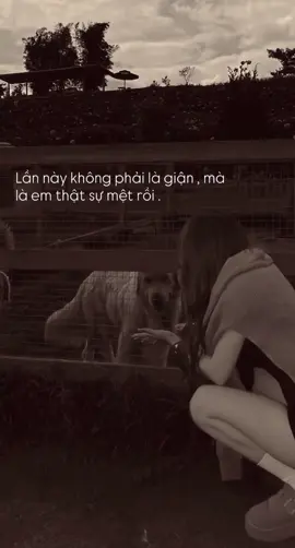 #lyrics 