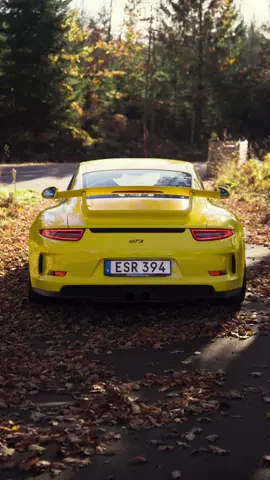 The Ultimate Drivers Car - Porsche GT3 Wide hips and a low stance… -  Racing Yellow - Price 1,379,000 SEK - Red Calipers - Alcantara/Leather Interior -  0-100 3.5 Seconds - 475 Horsepower #johnsgarage49 #porsche #911 #gt3 