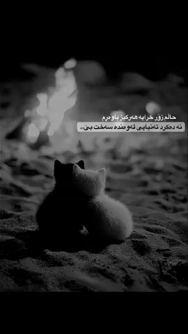 #لایکو_کۆمێنت_فۆڵۆلەبیر_ #ئەکتیڤبن🥀🖤ـہہـ٨ــہ #وتــــەکــــانــــم🖤🕊️ #fypシ゚viral🖤tiktok #foryou 