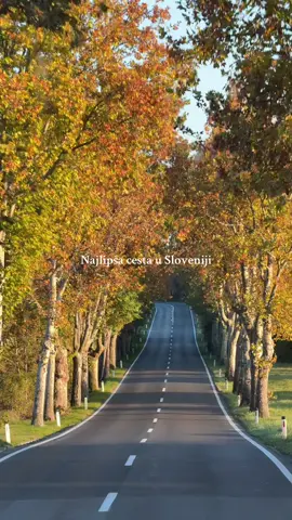 Na putu iz Trsta 😀 #jesen #slovenija #balkantiktok 