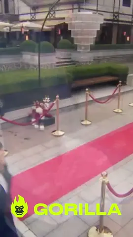 Холостяк 14 сезон 🌹  Тарас Цимбалюк знайомиться з дівчатами! Перша серія — перші троянди, перші емоції, перші враження ❤️ #Холостяк #ТарасЦимбалюк #СТБ #стопосто #реалітішоу 