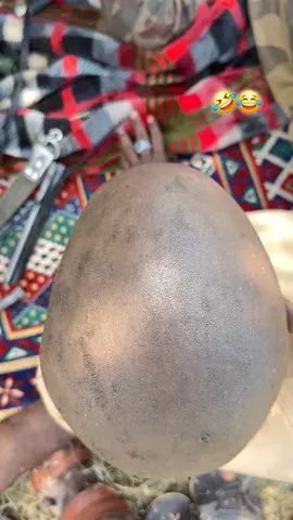 هههههه