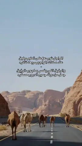 #explore 