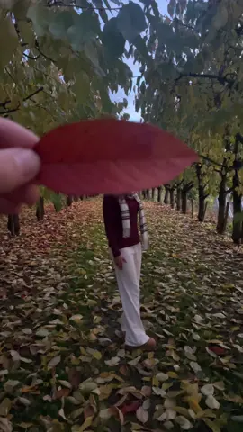 love youu❤️@jakobhdp1 #fall #boyfriend #outfit #foru #fyy 