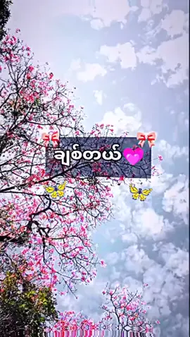 #သူများအိပ်ချိန်မှကောက်တင်😂 #ကောင်မလေးကိုmtခေါ်ကွာ #ခဗျားတို့ပေးမှ❤ရမဲ့သူပါ #ဒီတစ်ပုဒ်တော့fypပေါ်ရောက်ချင်တယ် #ရောက်ချင်တဲ့နေရာရောက်👌 