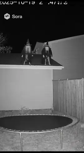 🧙‍♀️🥵😱 #scary #horror #funny #halloween #ai 