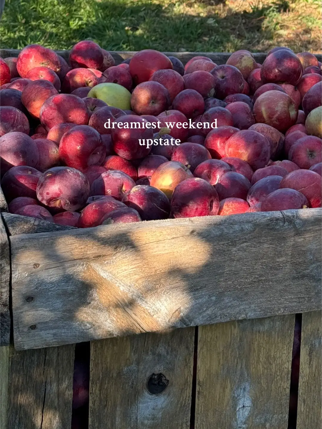 upstate weekend recappppp