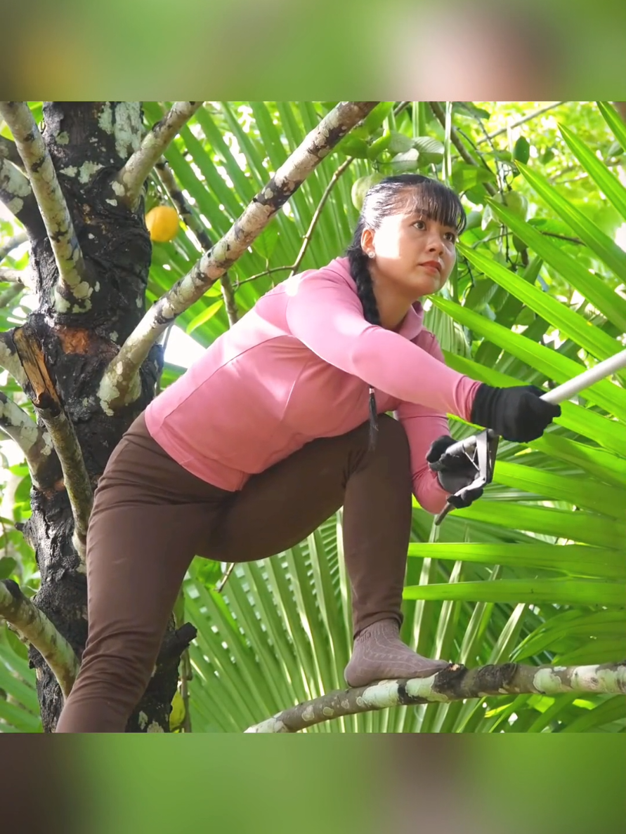 PT547:#cam #camping #bushcraft #shelter #harest 