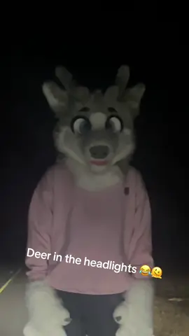 I almost hit a deer… #furry #fursuit #deer 