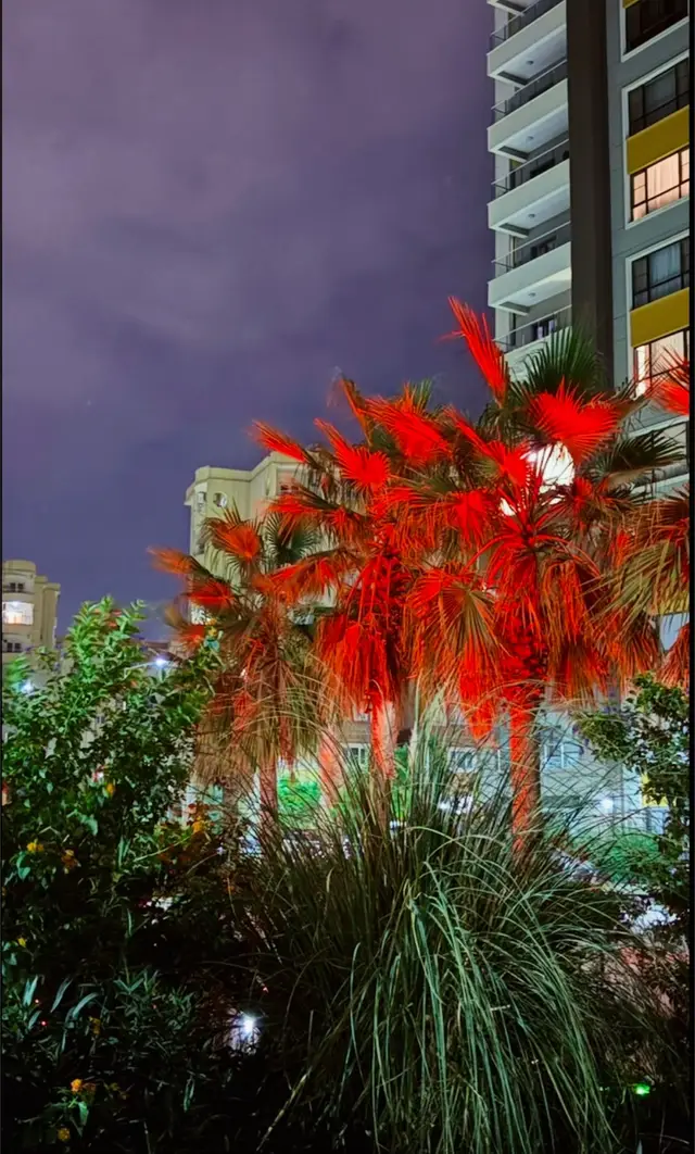 عشوائيات..#lraq #duhok #fyp #avro_city #تصويري📷 