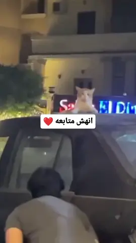#الشعب_الصيني_ماله_حل😂😂🙋🏻‍♂️ #مصطفى_المومري #اكسبلور_متابعه_تعليق_لايك 
