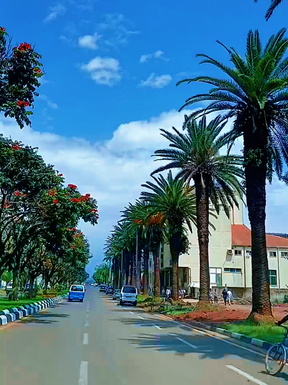 #bahirdar❤️🇪🇹 #fyp #መንገደኛው 
