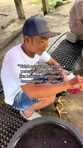 Semoga Allah selalu ngasih kesempatan dan rezeki😁#ayambangkoksuper #pakoy #pakoydramstyle🥁🥁🥁 #pakoythailand #bk 