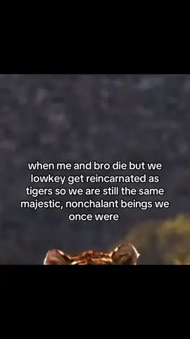 #fyp #meme #relatable #viral