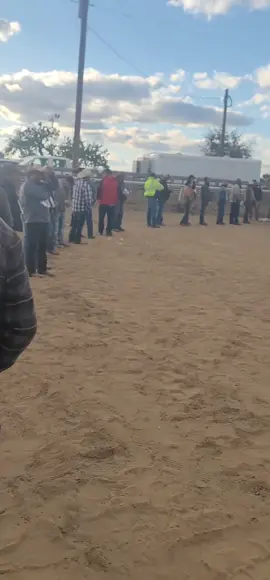 No son tiempos de andar en fiestas, si te agarran en fiestas es tu merecido por irresponsable… cayò migra en carreras de caballos Idaho #viral #idaho #ice #comenta #reflexion 