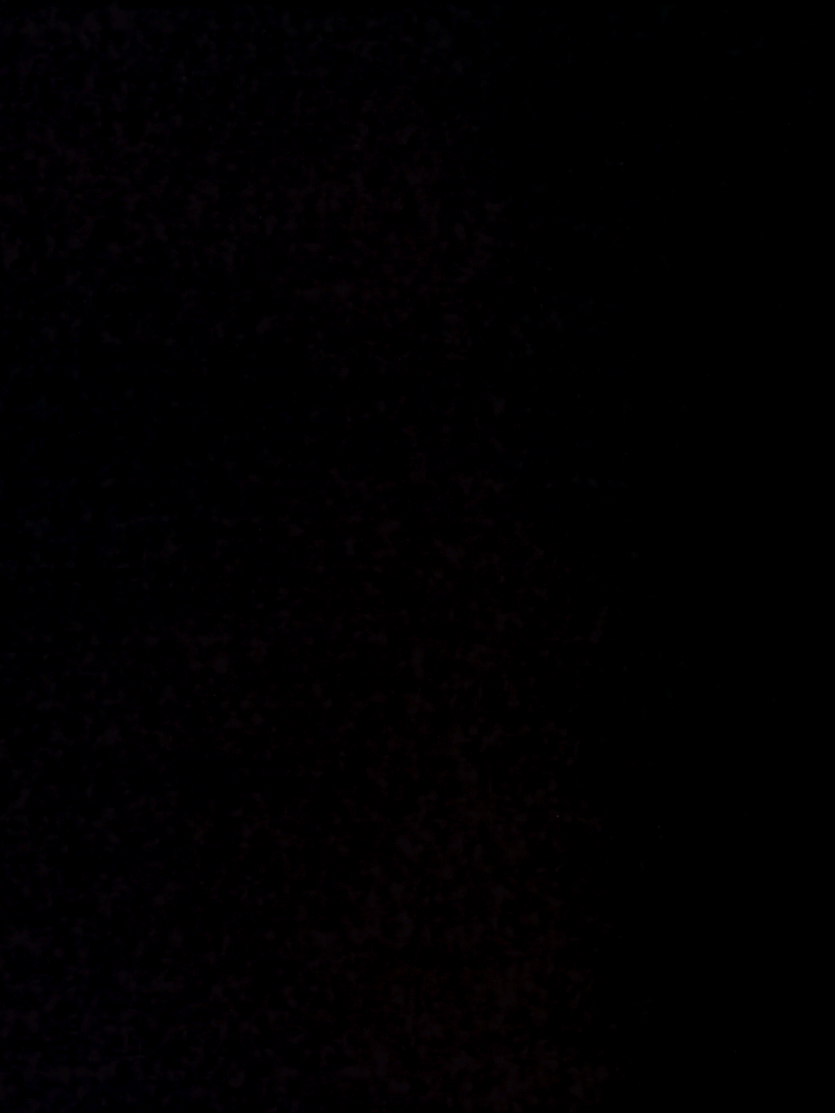 وجيه اليوم اللي اشوفك فيه  #mazenshabib #حزين #حب #مسلم #فراق 