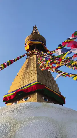 #frrrrrrrpppppppppppppppppppppp 