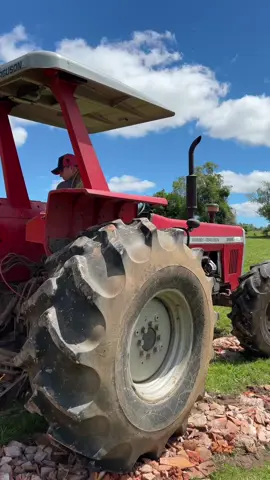 Rotina da manhã da fazenda!  #fazenda #rotina #agrogirl #campo #trator 
