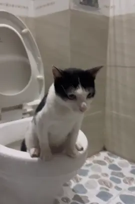 Cất vội sổ đỏ🥲