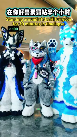 Standing around at the HiFurry #furryconvention for 30 minutes in time lapse #furrycommunity #furryfandom #furry #fursuit 