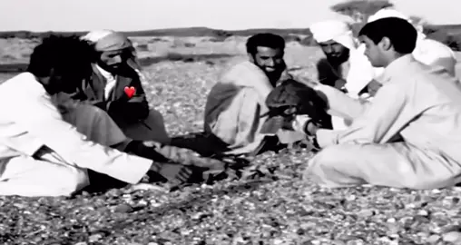 الشيخ محمد بن زايد ويدي حمد الهايري  في رحله مقناص  #مقناص #archives #unitedarabemirates #fyp#forupage 