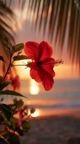 Tropical Serenity #Background #LiveWallpaper #Aesthetic #Nostalgia #freebieclip