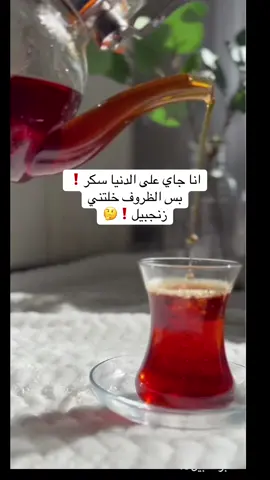 #اكسبلورر_explorer 