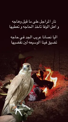 #فلسطين_أحساس_شاعر_لايك_فضلآ_وليس_أمرآ 