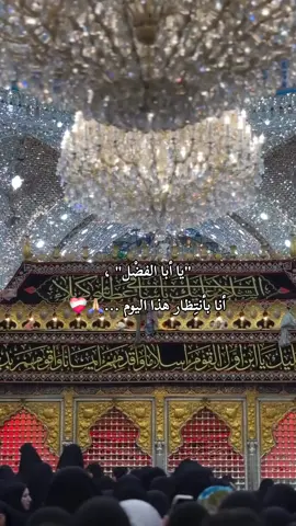 أبا الفَضلِ هَل للفَضلِ غَيّرُك يُرتجىٰ ‏وهَل لِذوي الحاجاتِ غَيّرُك مُلتَجىٰ؟ ............................................................. .. .. .. .. .. .. .. .. .. .. .. .. .. .. .. .. .. .. .. #العباس_عليه_السلام  #الحسين_عليه_السلام  #اهل_البيت_عليهم_سلام  #باسم_الكربلائي #فاطمه  #كربلاء_مدينة_العشق_والعاشقين  #300k #fyp #اكسبلور #الشعب_الصيني_ماله_حل😂😂 #مالي_خلق_احط_هاشتاقات #ترندات_تيك_توك 