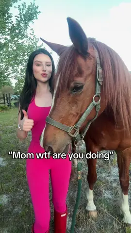 Horse girl 4L #equestrian #horsegirl #arabianhorse #equestrianlife 