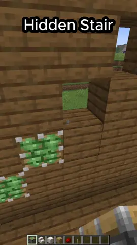 How to make a hidden staircase in Minecraft #Minecraft #minecrafttutorial #shorts 