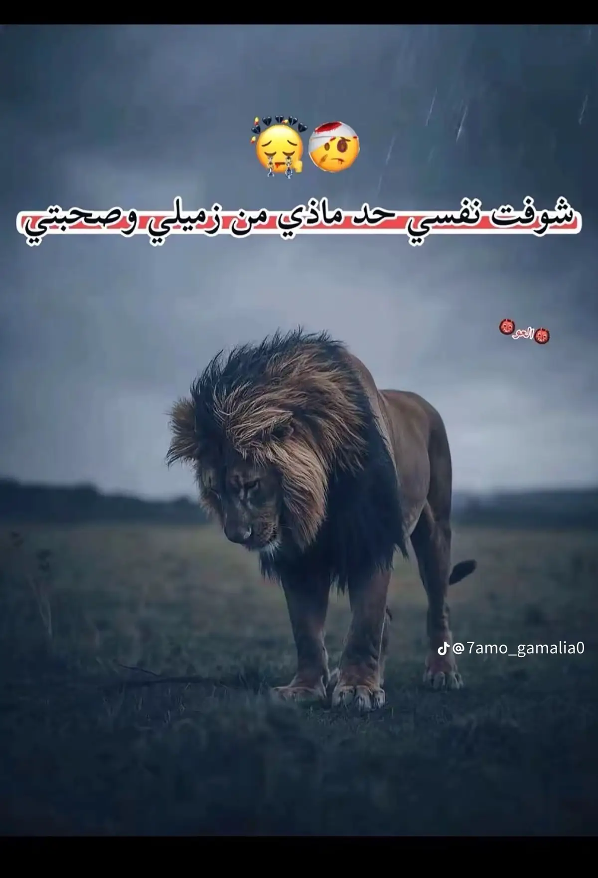 #الشعب_الصيني_ماله_حل😂😂 #الفيوم_بلدي🔥 #مصمم_فيديوهات🎬🎵 