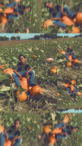 #pumpkinseason #pumkinpatch #fallfestivities 